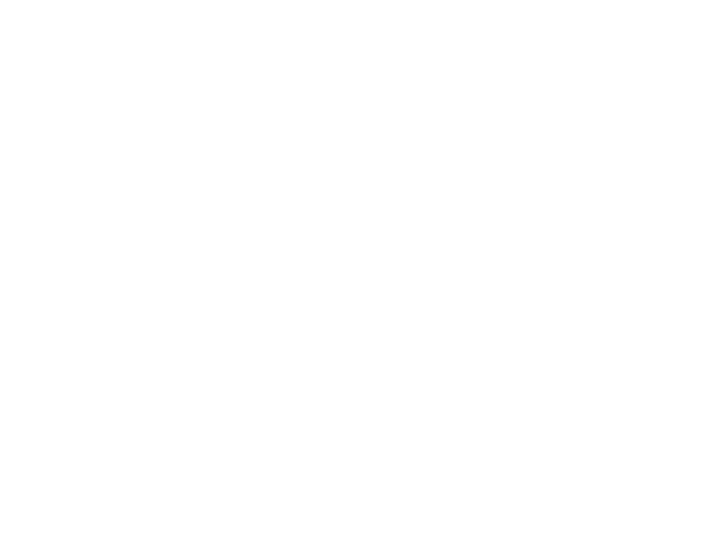Adelaide Lightning